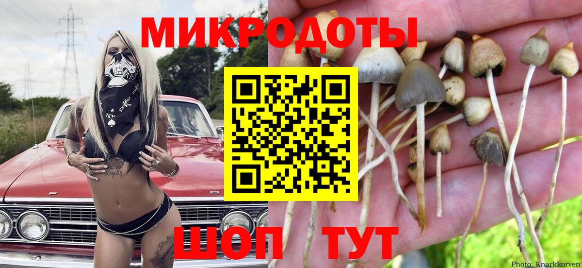Псилоцибиновые грибы прущие грибы Красноармейск