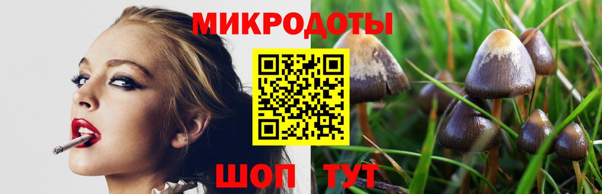 Галлюциногенные грибы GOLDEN TEACHER  Вход с VPN  Галлюциногенные грибы Psilocybine cubensis  Красноармейск 
